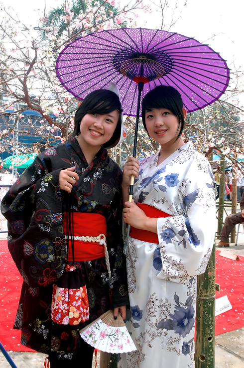 Cherry blossom festival towards Japan
